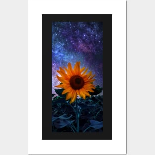 Sunflower from the space Posters and Art